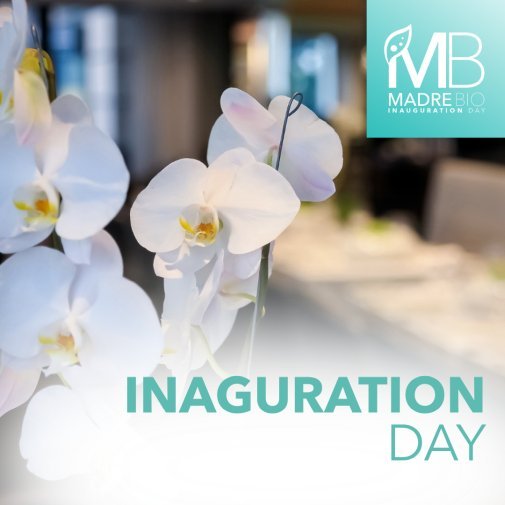 inauguration day